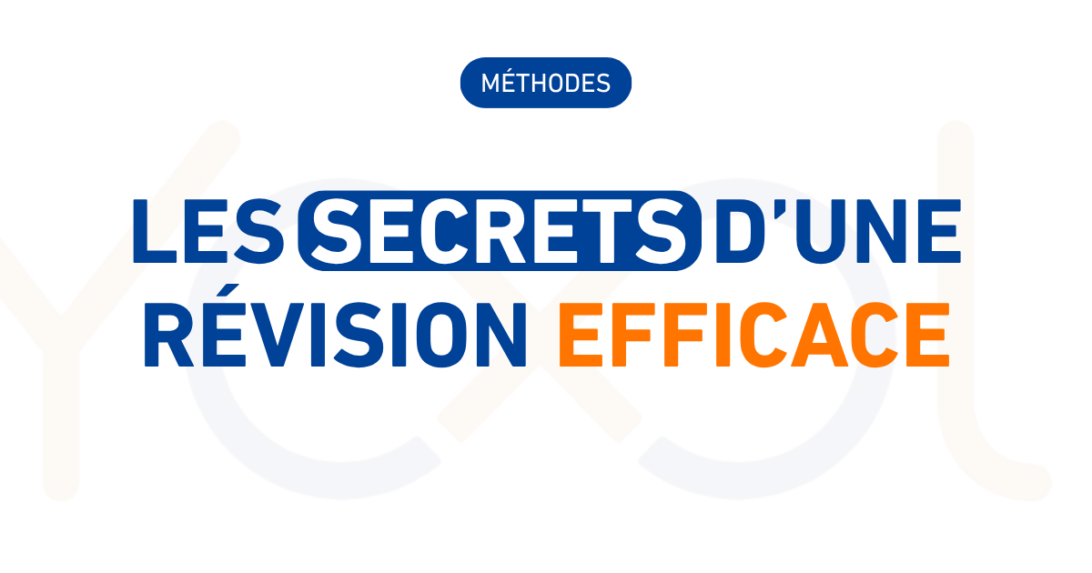 YOOL EDUCATION | Les méthodes de révisions pour les examens qui fonctionnent ...
