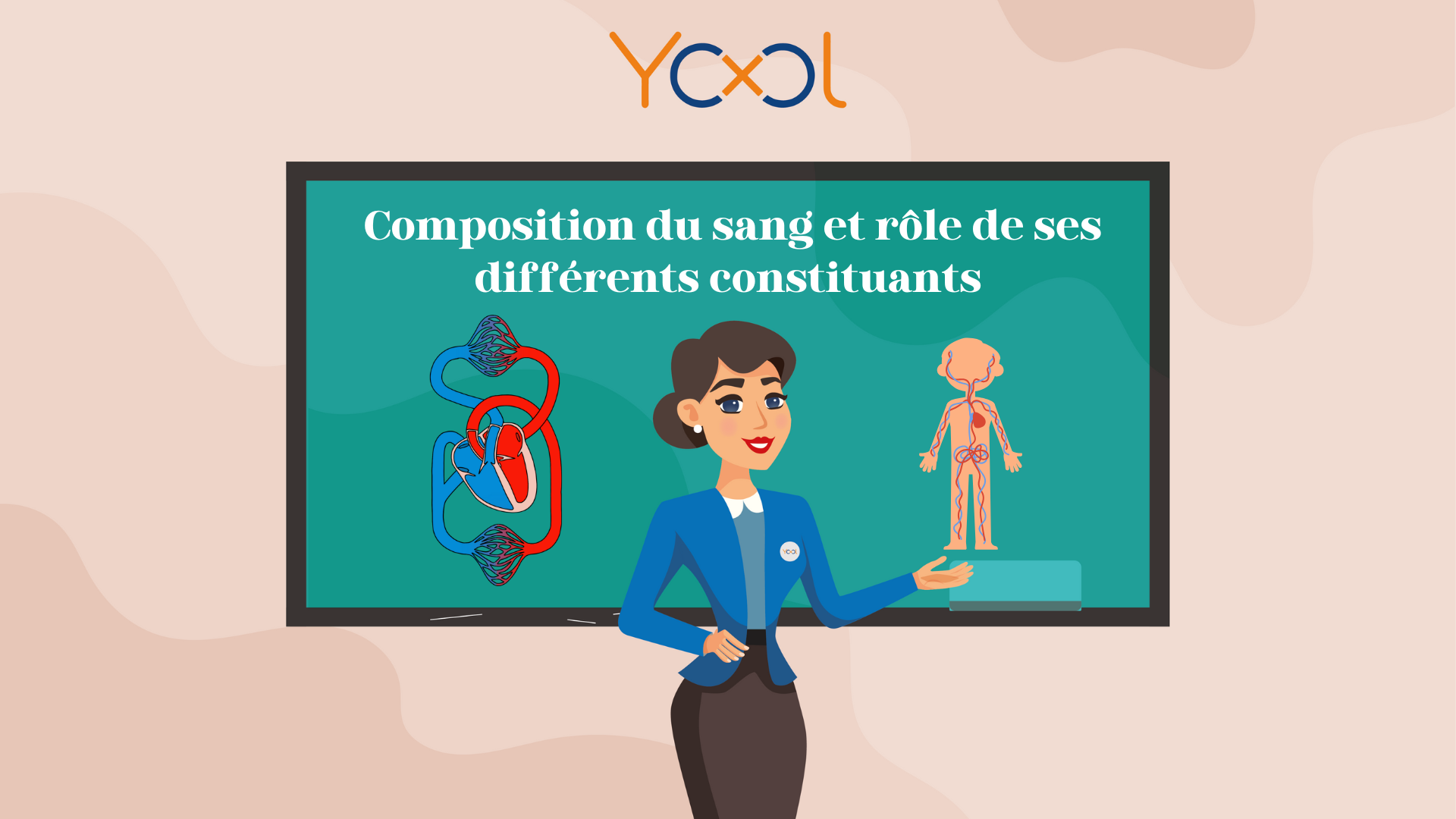 Chapitre 4 : Composition du sang et rôle de ses différents constituants