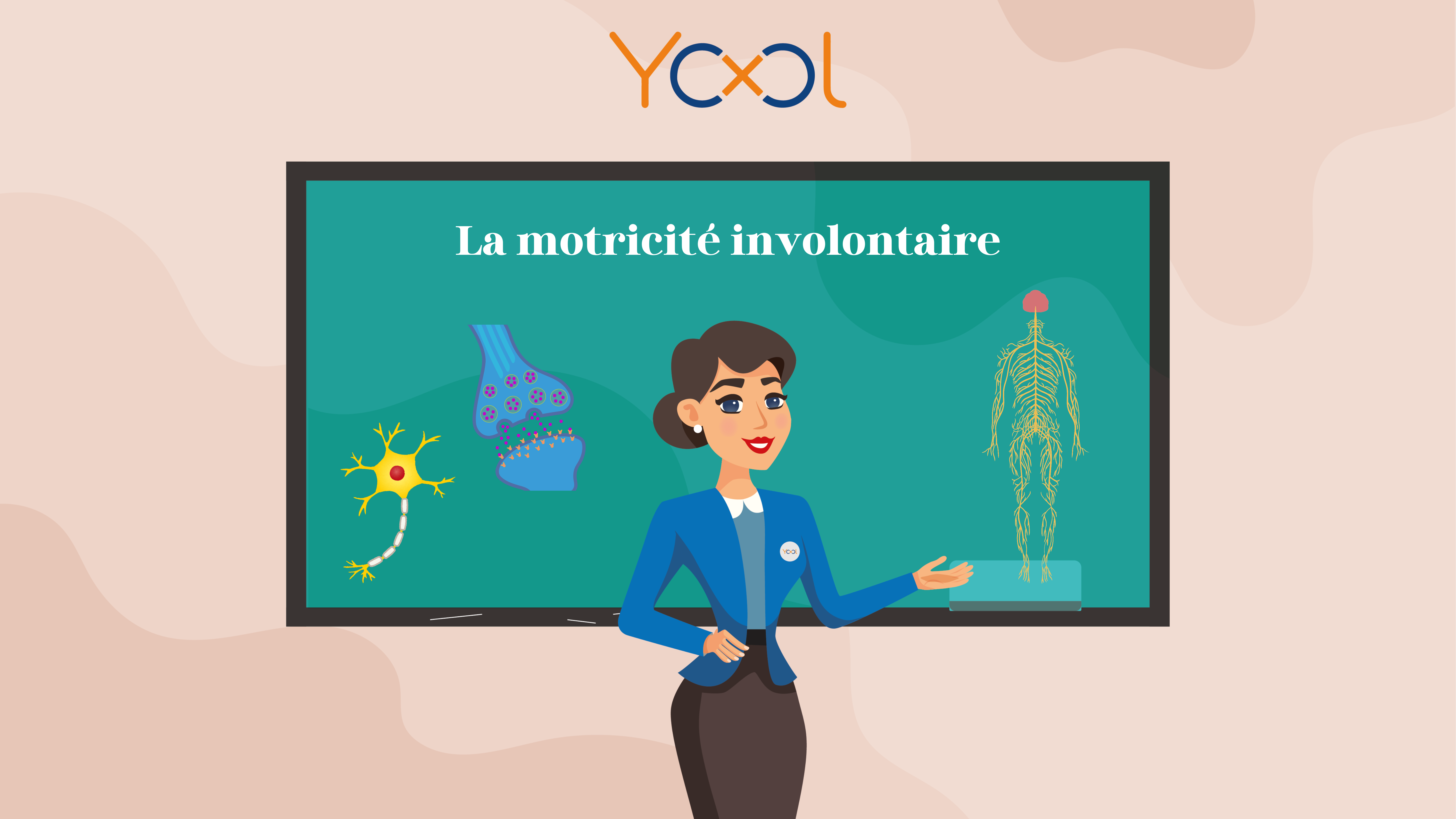 Chapitre 6 : Le système nerveux "La motricité involontaire"