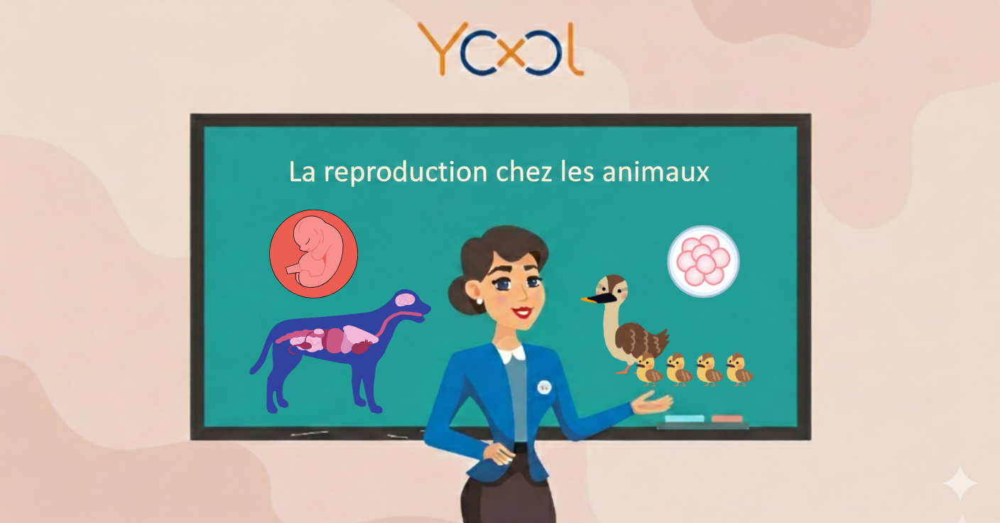 La reproduction chez les animaux