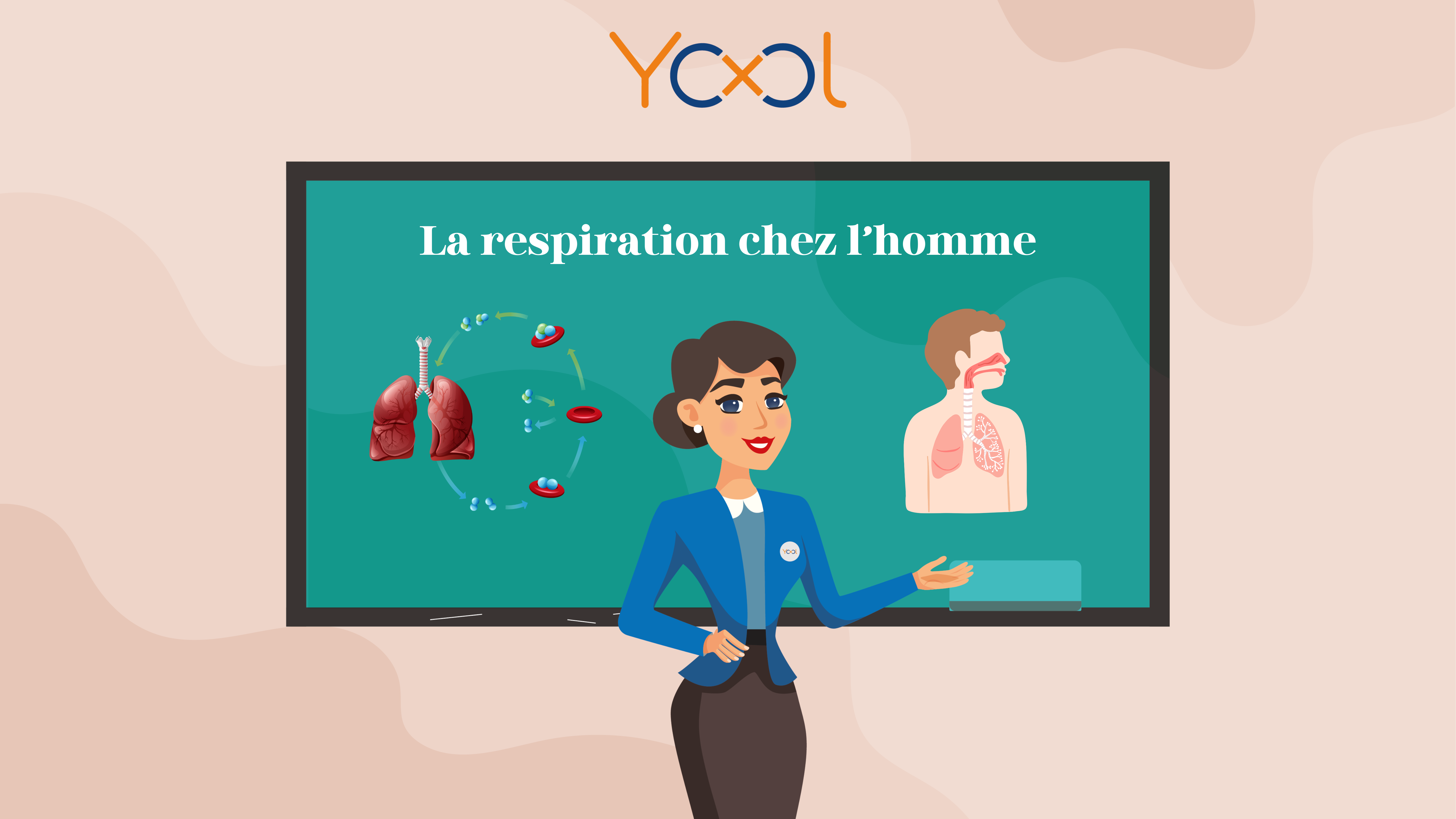 Chapitre 4 : La respiration chez l'Homme
