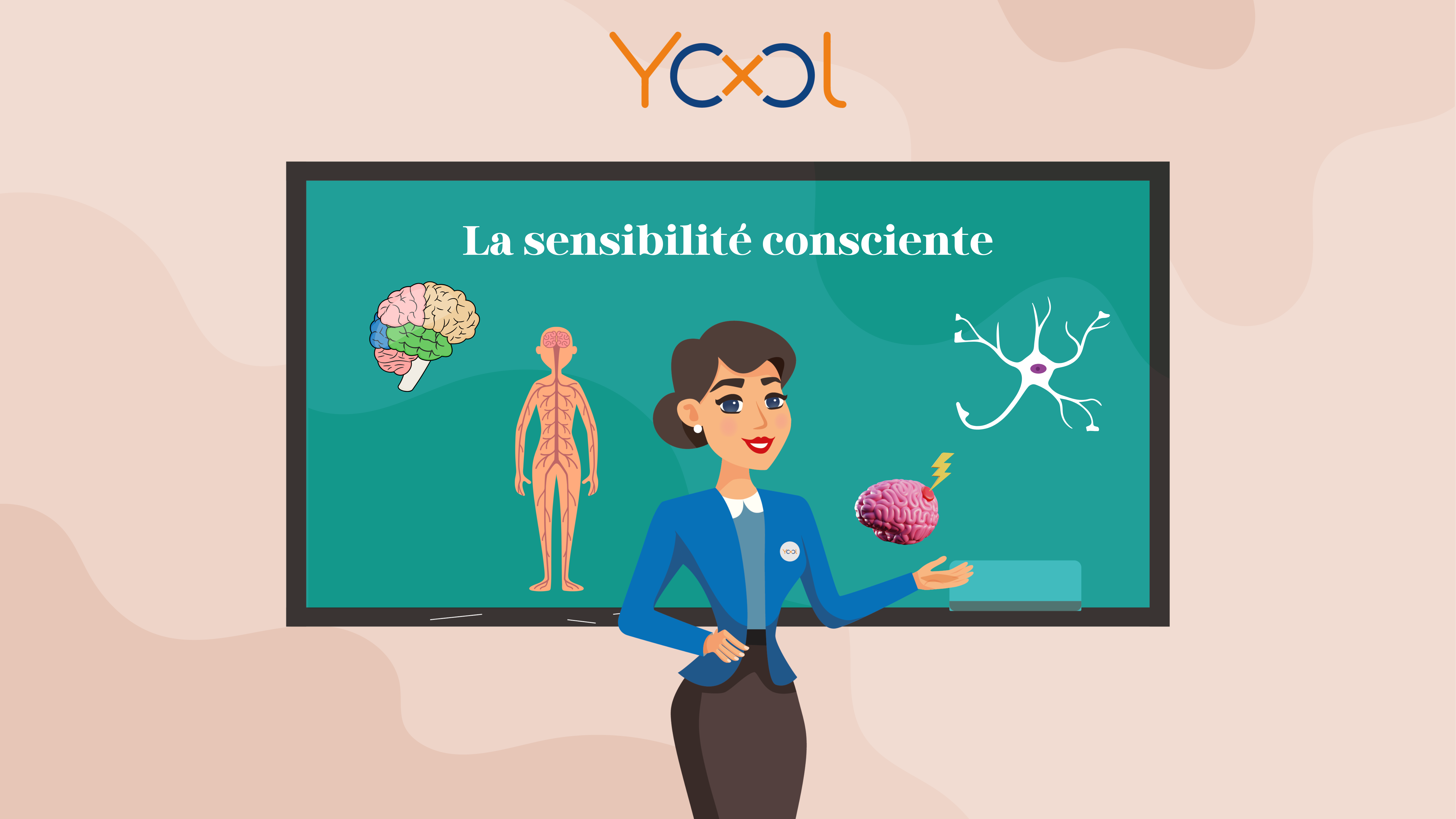 Chapitre 6 : Le système nerveux  "La sensibilité consciente"