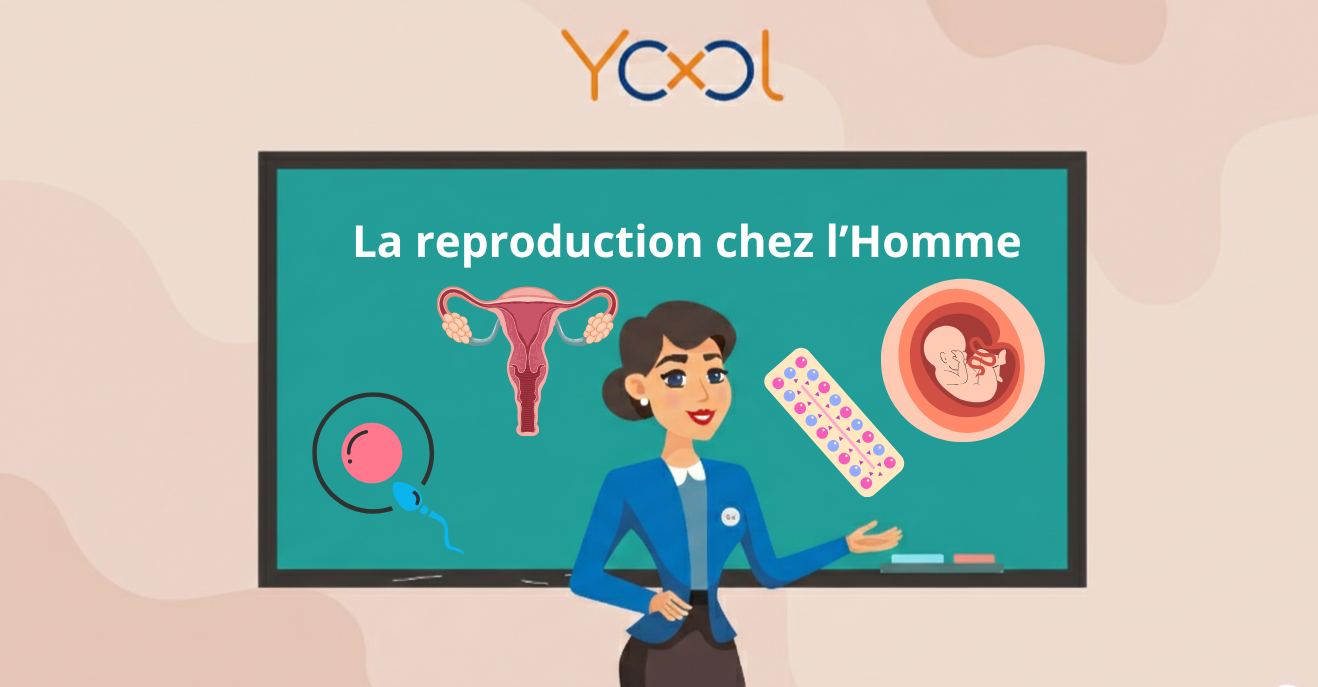 La reproduction chez l’Homme