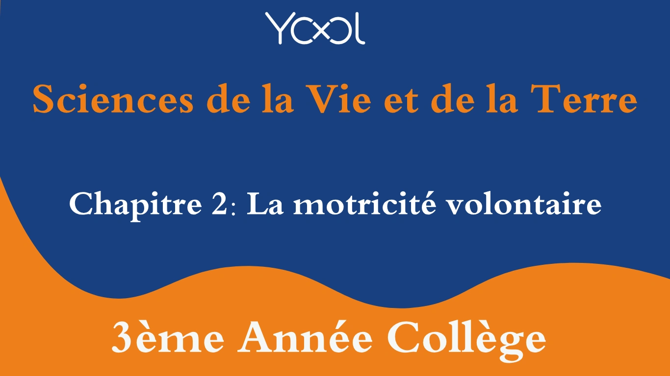 YOOL LIBRARY | Chapitre 2: La motricité volontaire