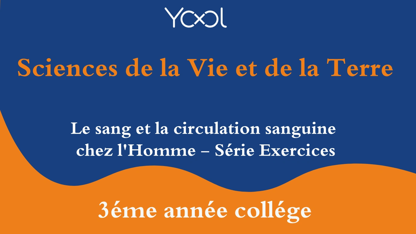 YOOL LIBRARY | Le sang et la circulation sanguine chez l'Homme - Série Exercices