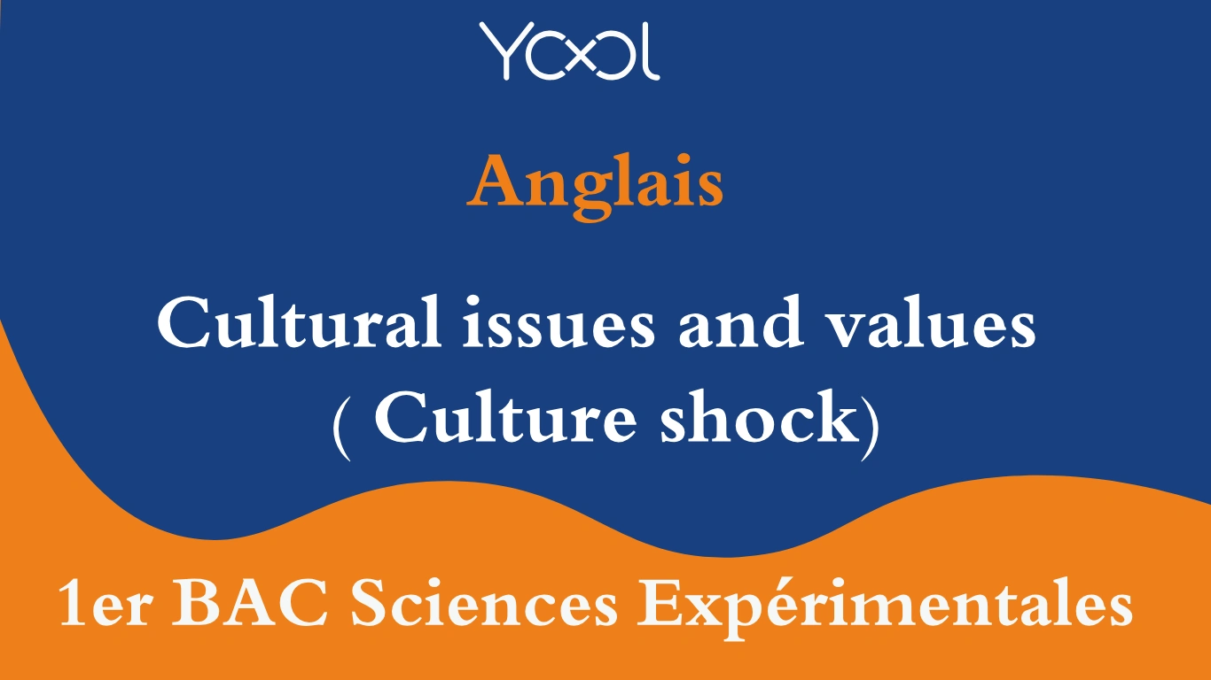 Cultural issues and values ( Culture shock)