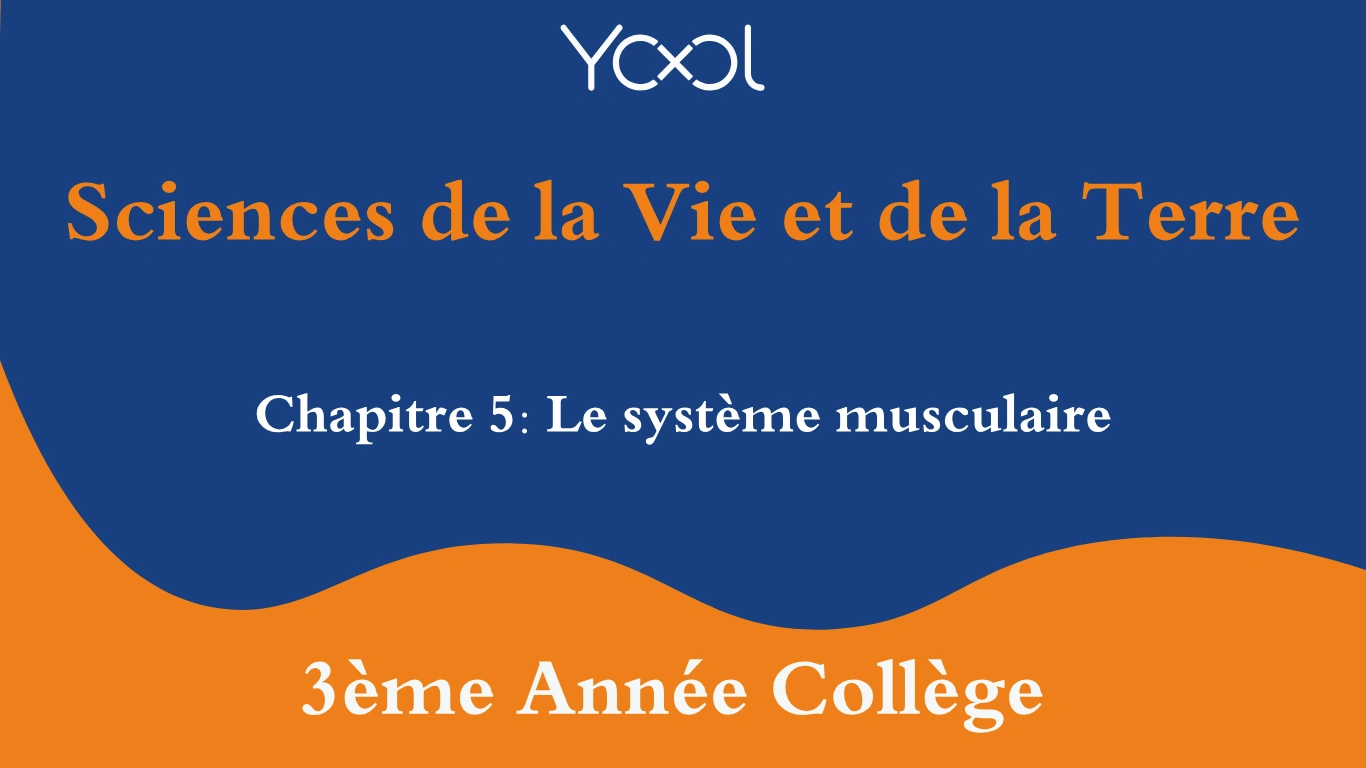 YOOL LIBRARY | Chapitre 5: Le système musculaire