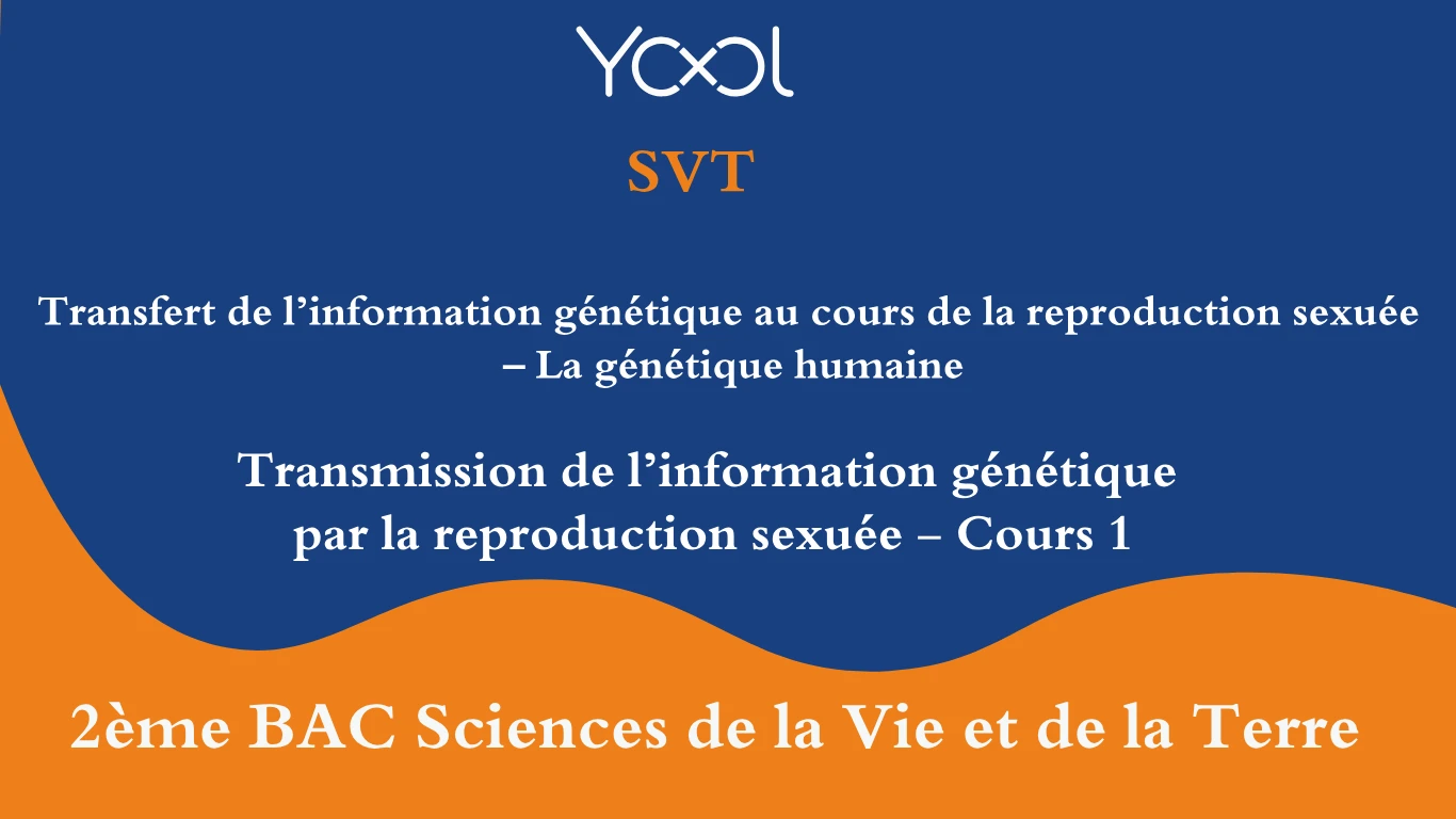 YOOL LIBRARY | Transmission de l’information génétique par la reproduction sexuée - Cours 1