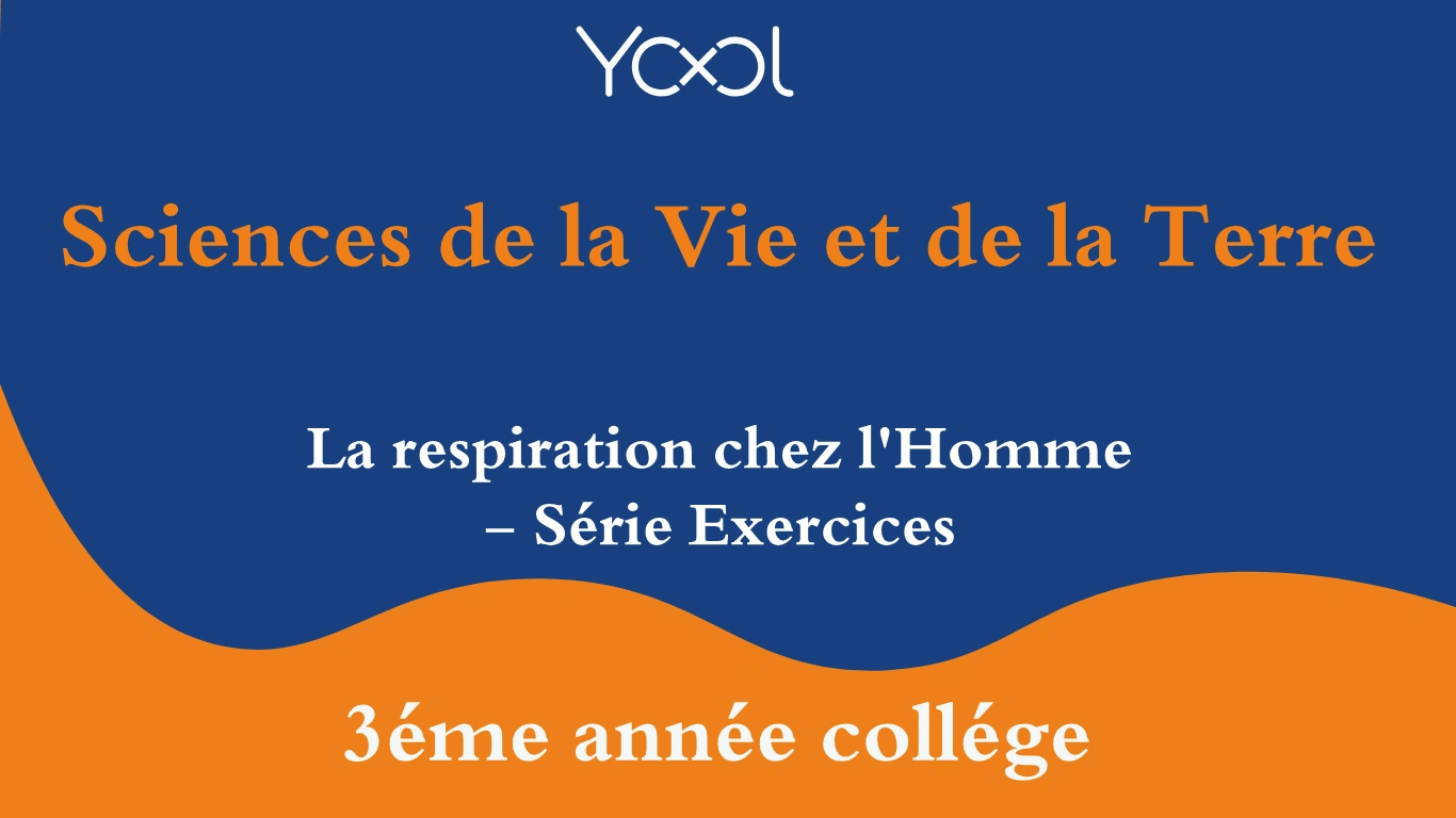 La Respiration chez l'Homme - Série d'Exercices