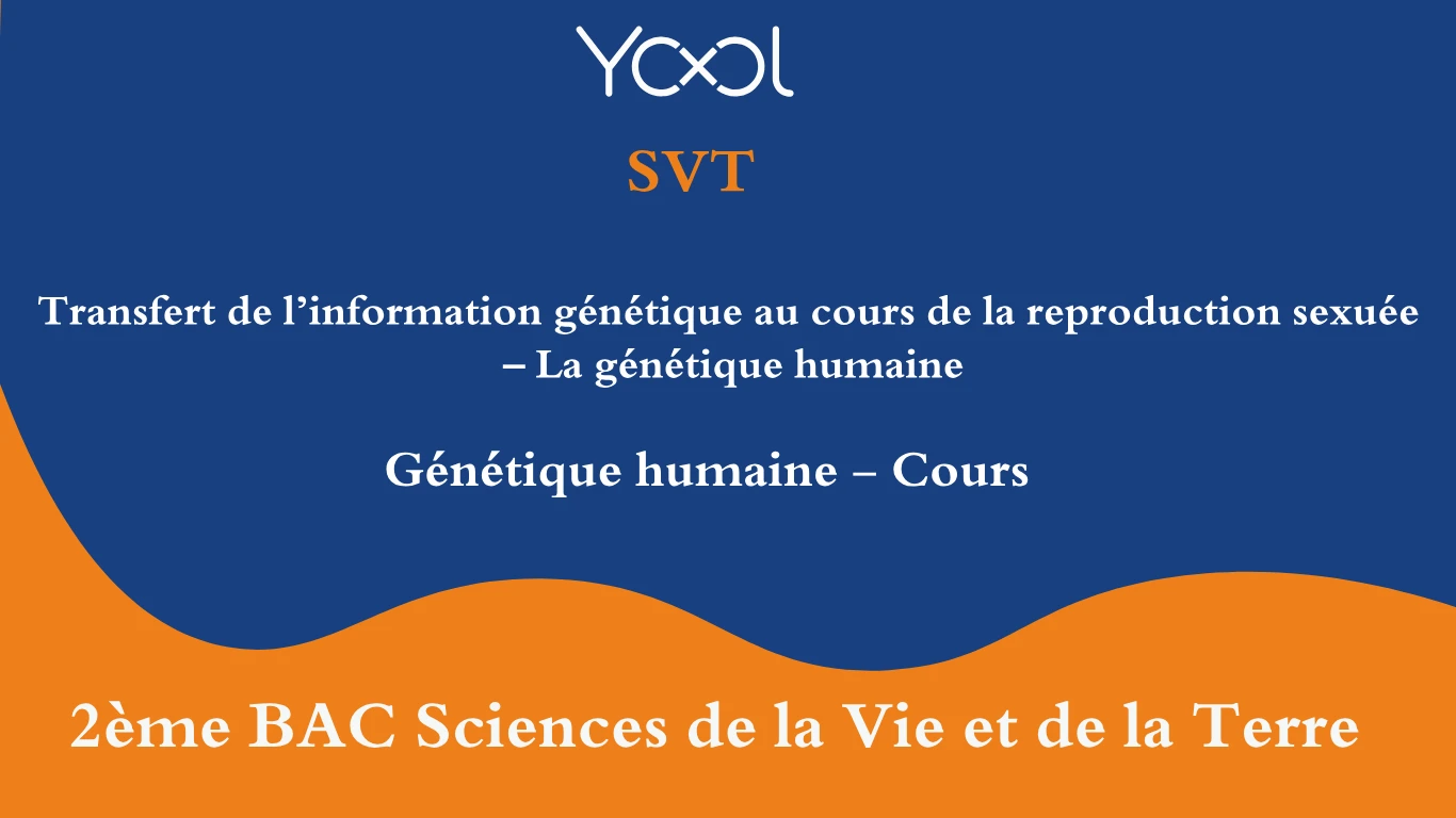 YOOL LIBRARY | Génétique humaine - Cours