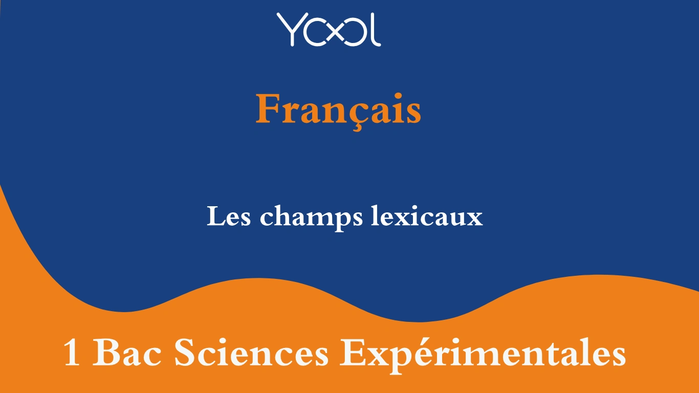 YOOL LIBRARY | Les champs lexicaux