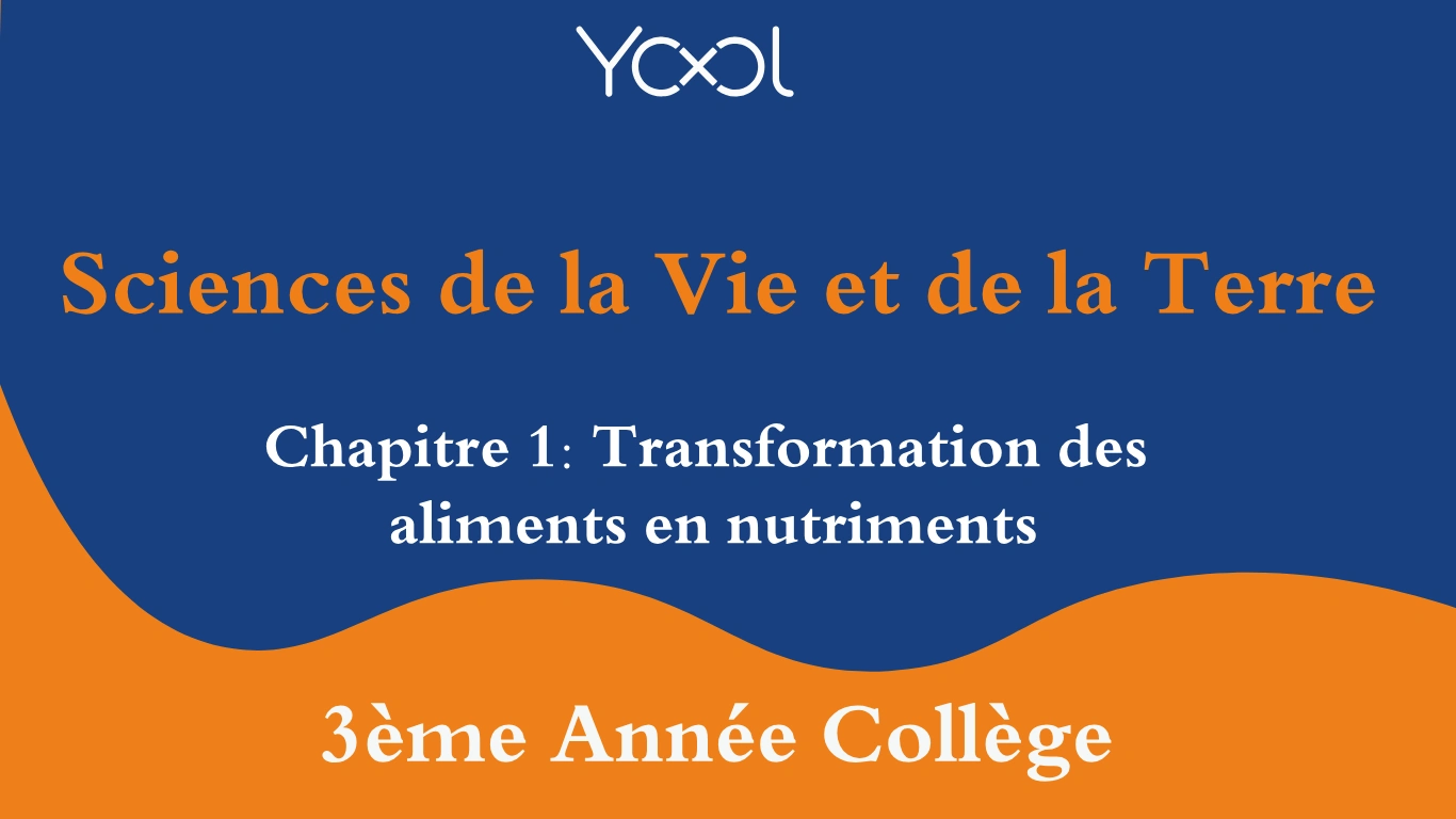 Chapitre 1: Transformation des aliments en nutriments