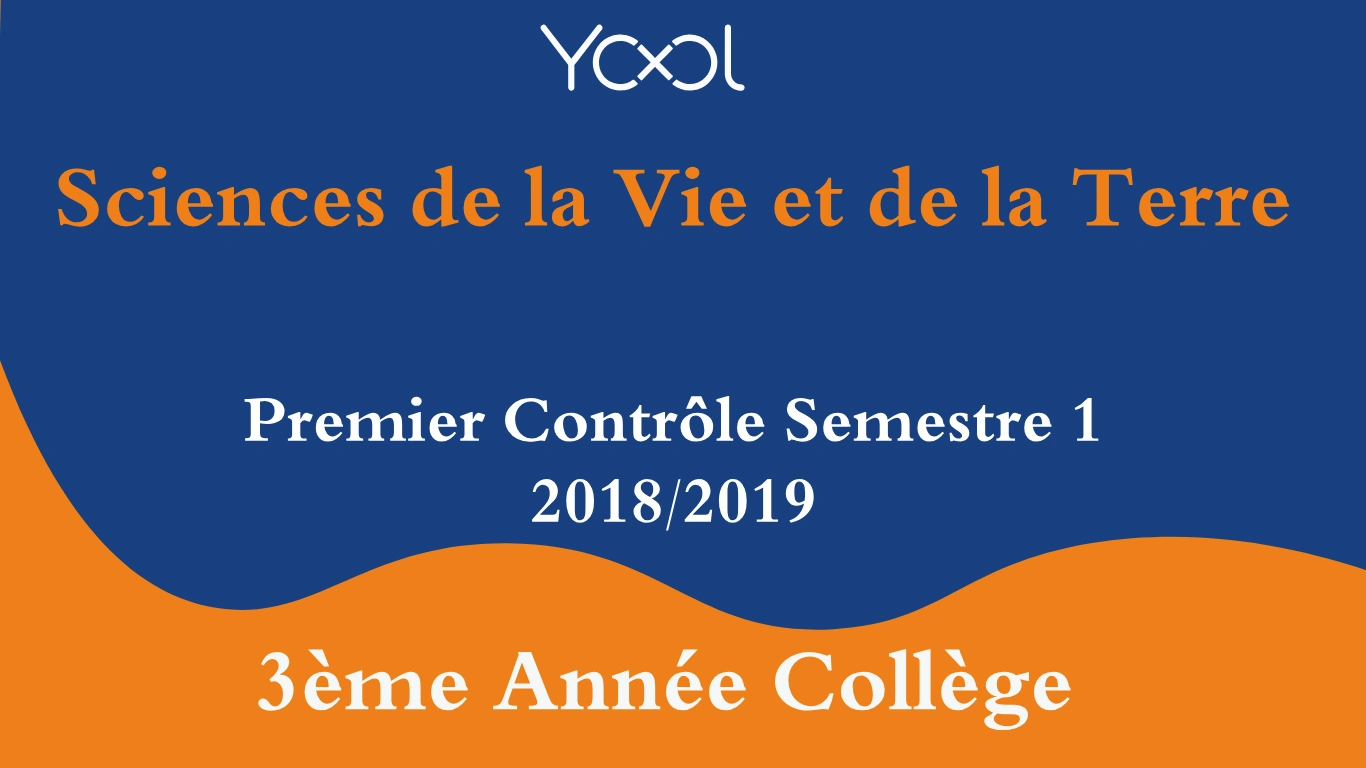 YOOL LIBRARY | Premier Contrôle Semestre 1 (2018/2019)