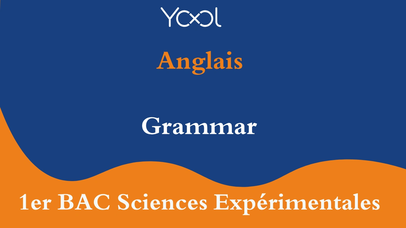 YOOL LIBRARY | Grammar