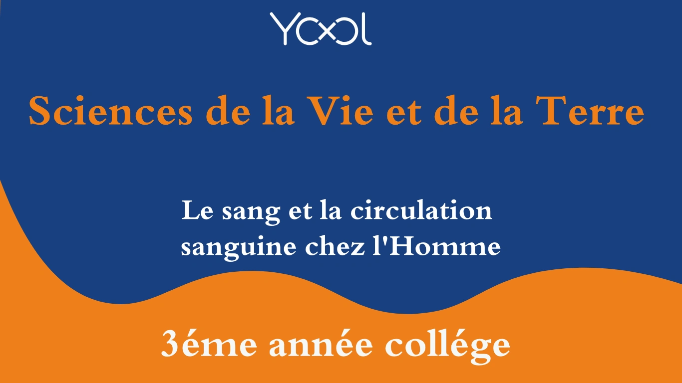 YOOL LIBRARY | Le sang et la circulation sanguine chez l'Homme