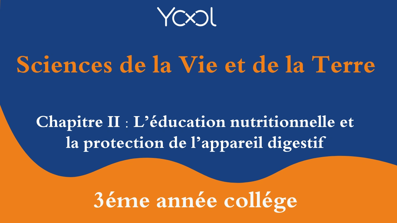 YOOL LIBRARY | Chapitre II : L’éducation nutritionnelle et la protection de l’appareil digestif