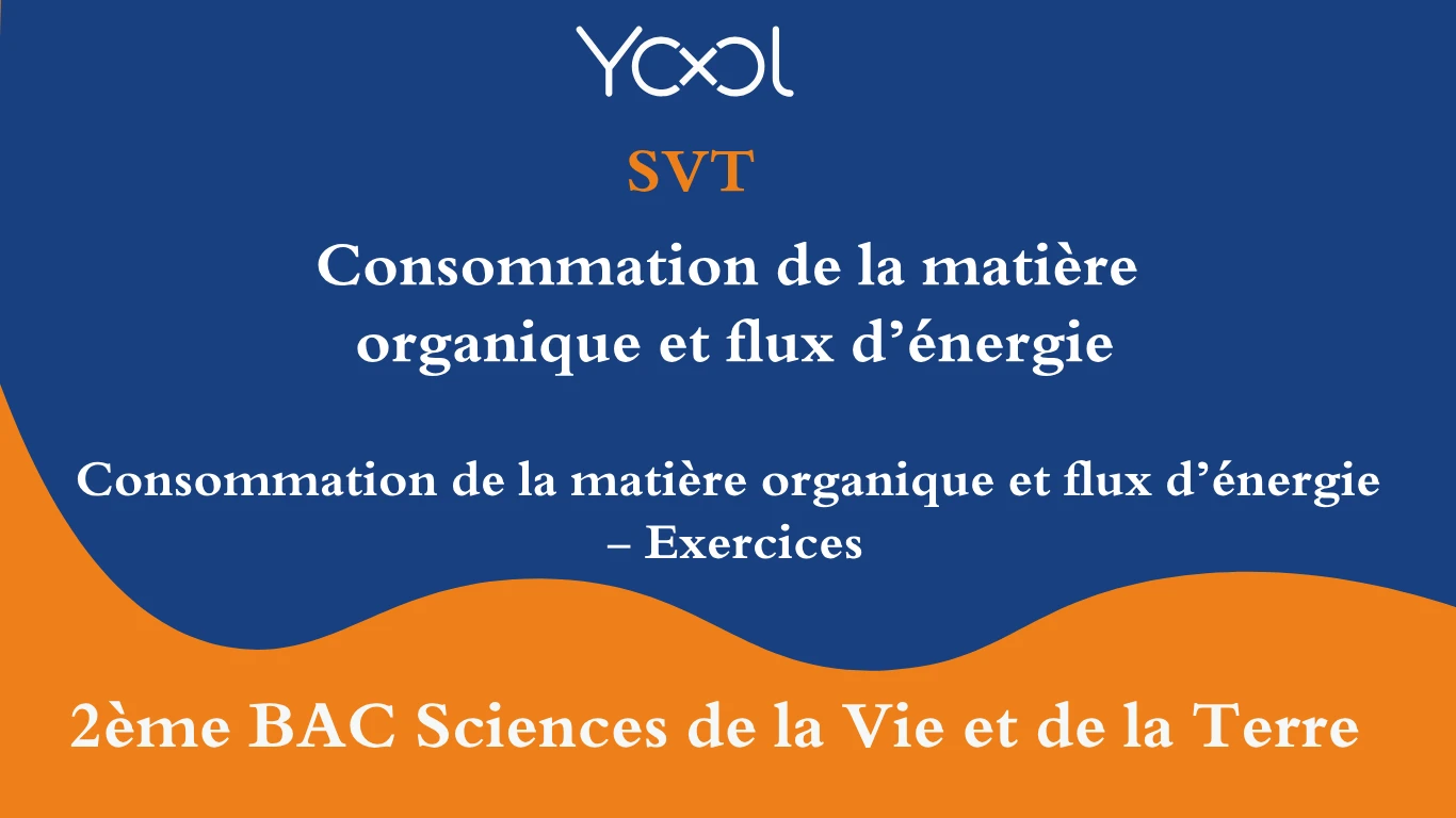 YOOL LIBRARY | Consommation de la matière organique et flux d’énergie - Exercices