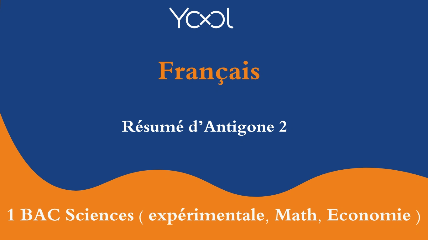 YOOL LIBRARY | Résumé d’Antigone 2