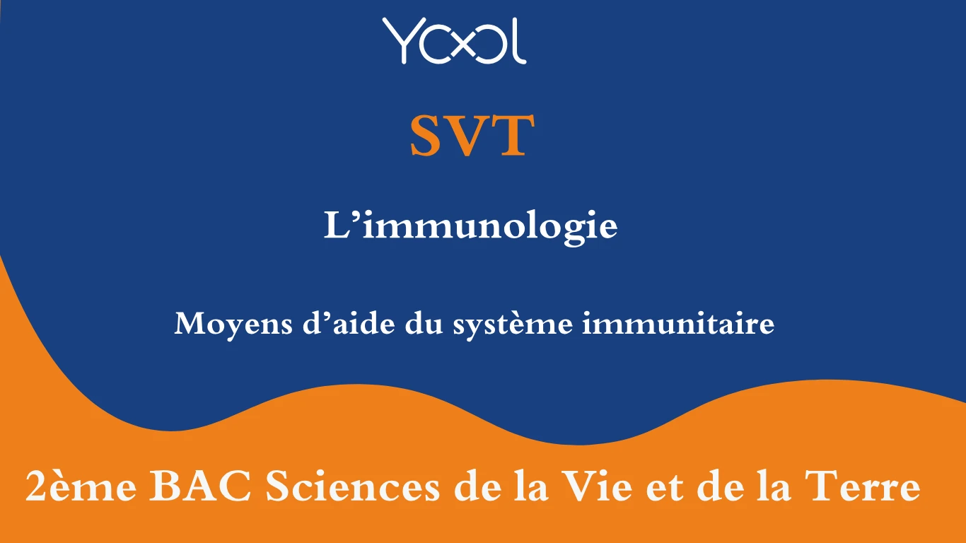 YOOL LIBRARY | Moyens d’aide du système immunitaire